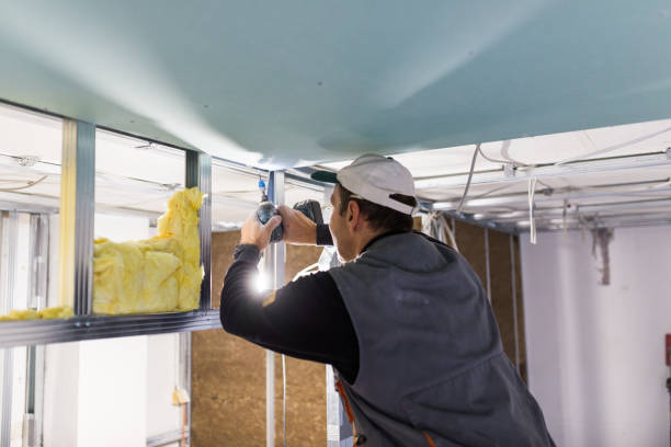 Best Insulation Maintenance and Repair in Amador Pines, CA