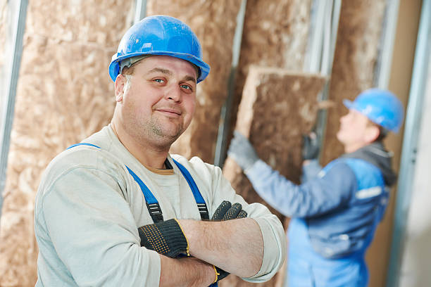 Best Types of Insulation in Amador Pines, CA