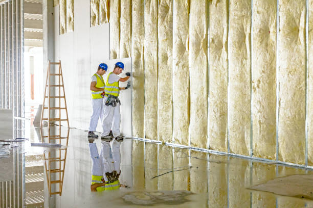 Best Specialty Insulation in Amador Pines, CA